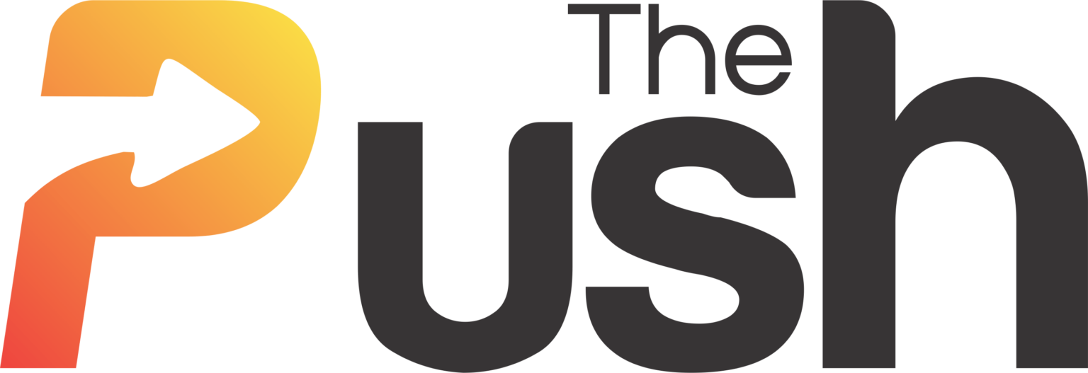 the-pushlogo3
